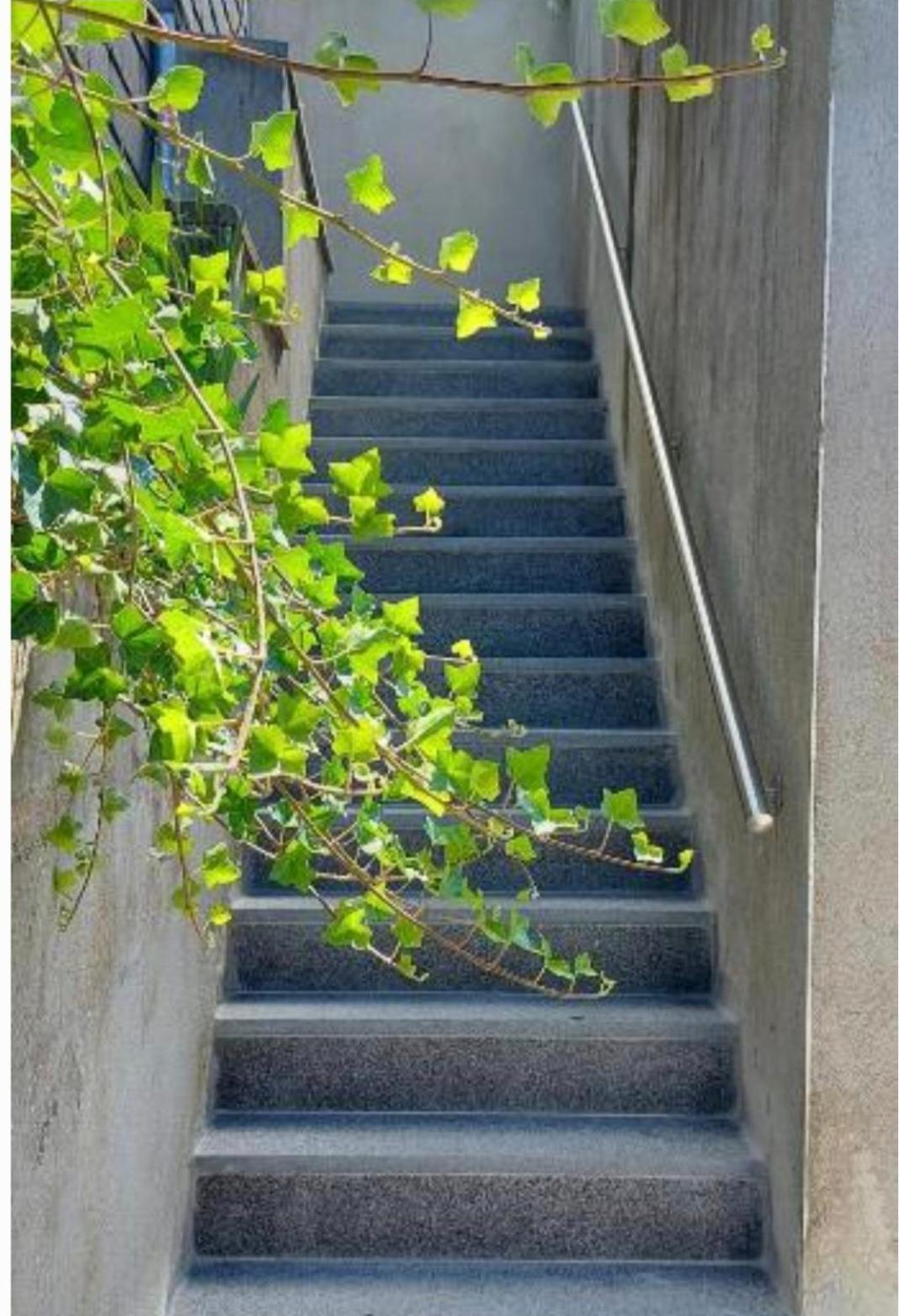 Nazareth Logement Un Magnifique Logement De Vacances Bastogne Exterior foto